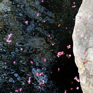 黄色三级学生阴蒂性交美女
